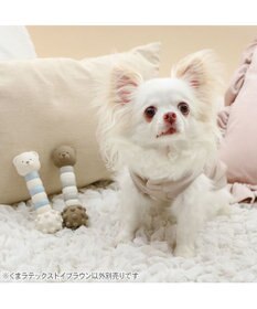PET PARADISE ペットパラダイス くまちゃん  ラテックス トイ 《ブラウン》