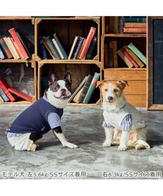 PET PARADISE ペットパラダイス ベスト パンツつなぎ 《ネイビー》 小型犬