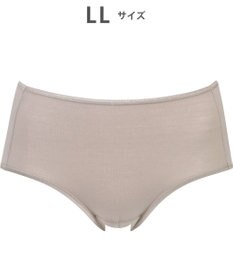 Wing サニタリーショーツ　羽根付きナプキン対応　はきこみ丈ふつう　ウイング／ワコール　EC8500