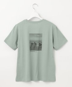 J.PRESS LADIES バック フォト Tシャツ