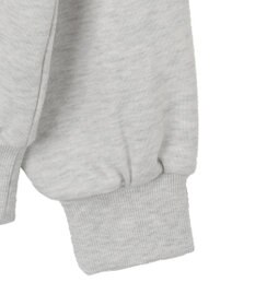 WEGO ロゴビッグプルパーカー