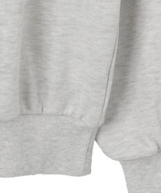 WEGO ロゴビッグプルパーカー