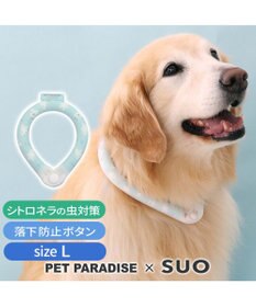 PET PARADISE ペットパラダイス 28℃クールリング SUO 《くま柄》 〔Ｌ〕 大型犬