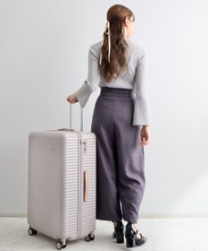 ACE BAGS & LUGGAGE HaNT ココント スーツケース 97L 05516 ハント