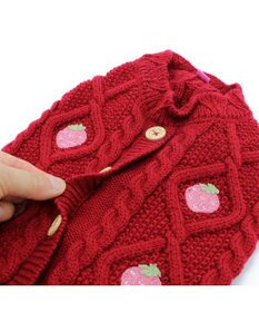 PET PARADISE ペットパラダイス アランニット 苺柄 《レッド》 小型犬