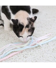PET PARADISE  ペットパラダイス 猫じゃらし 《リボン》