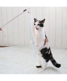 PET PARADISE  ペットパラダイス 猫じゃらし 《リボン》