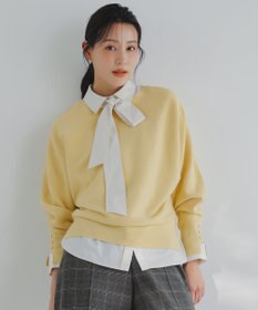 ANY SIS CICA加工 ビューティドルマン ニット