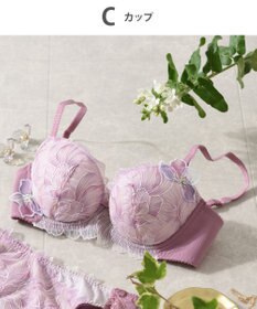 Wing Wing Lesiage　【2750シリーズ】ブラジャー　脇すっきり　ウイング／ワコール　PB2750