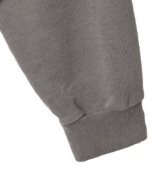 WEGO 【ユニセックス着用ITEM】ピグメントダメージアップリケZIPパーカー