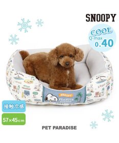 PET PARADISE スヌーピー  サーフ柄 クール カドラーベッド（57×45cm）