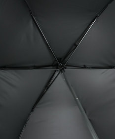 AURORA 【WEB限定】 フリル晴雨兼用傘（折りたたみ傘）