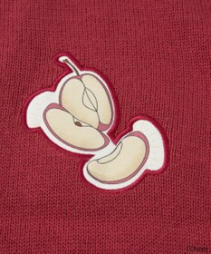 earth music&ecology Ｖｉｌｌａｉｎｓ　クイーン／ニットカーディガン