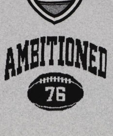 WEGO 【25年秋冬新作】フラッフィーVネックニットBIGプルオーバー