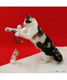 PET PARADISE ペットパラダイス 猫じゃらし  和まねき猫