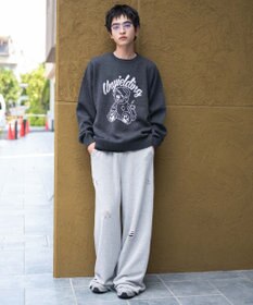 WEGO 【ユニセックス着用ITEM/SMLサイズ展開】ジャガードグラフィックプルオーバー