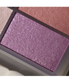 Chacott Cosmetics フェイスカラーパレット【509】アンティークドール