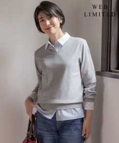 J.PRESS LADIES L 【WEB限定・人気定番アイテム・シーンレスに活躍】PRINCE Vネック ニット
