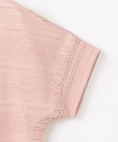 J.PRESS LADIES L 【WEB限定カラーあり・洗える】レースドッキング カットソー