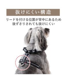 PET PARADISE Lee ロゴアクティブ ハーネス ＳＳ