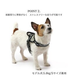 PET PARADISE ヘッドインハーネス 【ＳＳ】 オレンジ / ブルー 【小型犬】