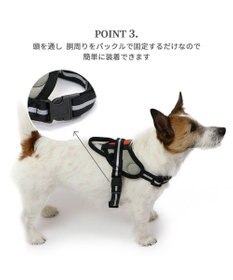 PET PARADISE ヘッドインハーネス 【ＳＳ】 オレンジ / ブルー 【小型犬】