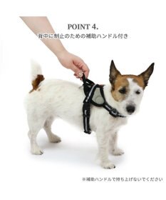 PET PARADISE ヘッドインハーネス 【ＳＳ】 オレンジ / ブルー 【小型犬】