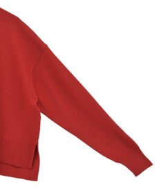 earth music&ecology 【毛玉防止 / 洗濯機洗い可】選べる丈ハイネックニット