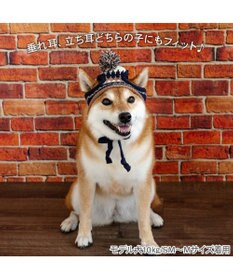 PET PARADISE ペットパラダイス ボンボン付き 男の子 ニット 帽子 中型犬 ＳＭ～Ｍ
