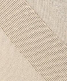 J.PRESS LADIES 【洗える】レーヨンストレッチ レイヤードニット