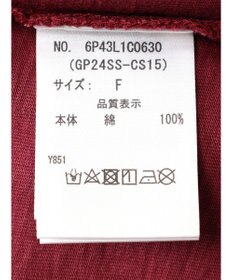 Green Parks ・Ｄｏｕｂｌｅ　Ｆｌａｇｓ　ピグメント加工ノースリＴＥＥ