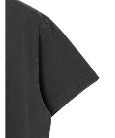 Green Parks ■ＪＵＲＡＳＳＩＣ　ＰＡＲＫ　コラージュｐｃＴ