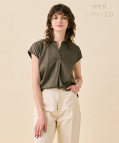 BEIGE， 【WEB限定・洗える】MELISSA / バックシフォンスキッパー半袖トップス