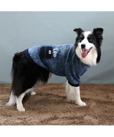 PET PARADISE Lee ウォッシュ加工 トレーナー 中型犬 大型犬