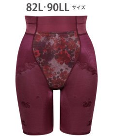 Wing ガードル 【ハミデンヌ】 ウエストのハミ肉すっきりカバー ロング丈 KQ2785 ウイング／ワコール