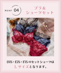 San-ai Resort（三愛水着楽園） 【WEB限定】【northerly bra 楽ちんフィットシリーズU字】 フリルレースブラショーツセット B～Fカップ 【northerly】