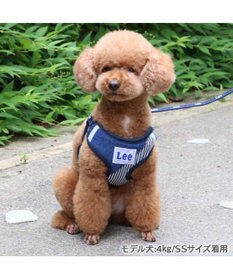 PET PARADISE Lee パッチワーク ハーネス＆リード ３Ｓ 超小型犬 小型犬