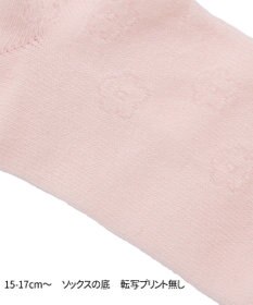MIKI HOUSE HOT BISCUITS 【11-19cm】クルー丈 ソックスパック2足セット