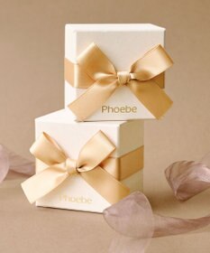 Phoebe 【Xmas Collection】パヴェモチーフネックレス&ツイストイヤリングセット/BOX&ショッパー付き