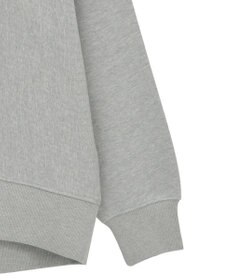 AMERICAN HOLIC FREMONT ロゴスウェットプルオーバー