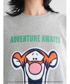 Green Parks Ｗｉｎｎｉｅ　ｔｈｅ　Ｐｏｏｈ／ノースリーブベストⅡ