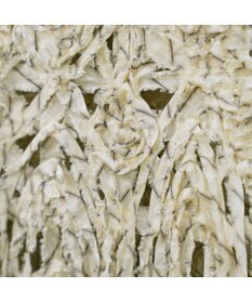 COQ 【刺繍・前後着用可能】TENTACLE