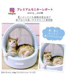 PET PARADISE 猫 ハウス クール 夏 接触冷感 ひんやり ねこハウス (40×35cm)