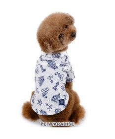PET PARADISE J.PRESS マリンシャツ  《 ホワイト》 小型犬