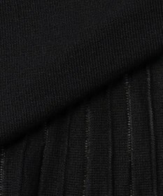 J.PRESS LADIES Vis/Pe スパーク バックプリーツ ニット