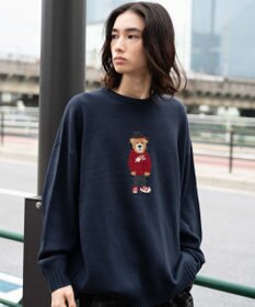 WEGO 【ユニセックス着用ITEM/MLサイズ展開】ジャガードアニマルプルオーバー