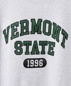 WEGO ヘビーウエイト刺繍グラフィックプルオーバー