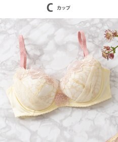 Wing Wing Lesiage　【2720シリーズ】ブラジャー　シアー感のあるラグジュアリーなデザイン　ウイング／ワコール　PB2720