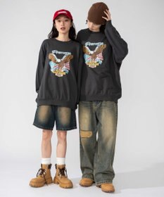 WEGO 【2025年秋冬新作/SMLXLサイズ展開/ユニセックス着用ITEM】アソートグラフィックプルオーバー