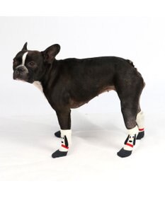 PET PARADISE スヌーピー フィットシューズ ＳＭ